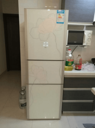 TCL，175升，因搬家，带不走，光明东里小区